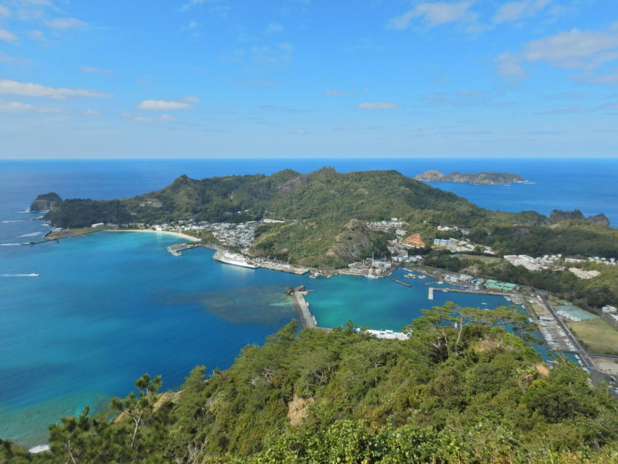 父島旬情報（3月初旬・2021/3/1） | 小笠原マルベリー