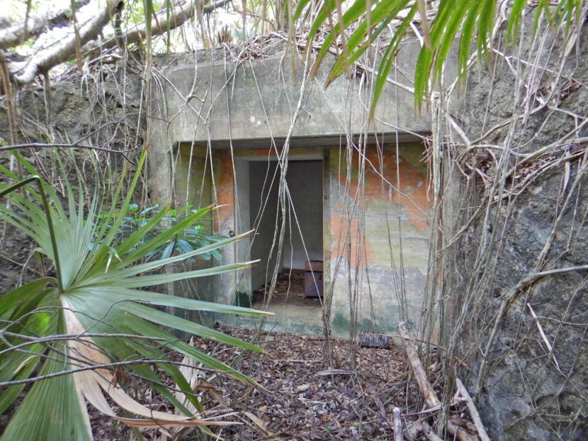 陸軍父島要塞巽谷砲台（露天） 小笠原マルベリー