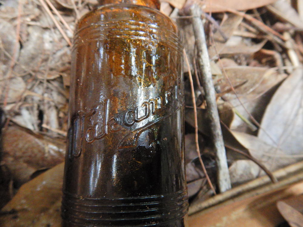 貴重 わかもと 陶器瓶 戦前 古い瓶 わかもとのびん - その1 - : 拾うたんじゃけえ！ 甲