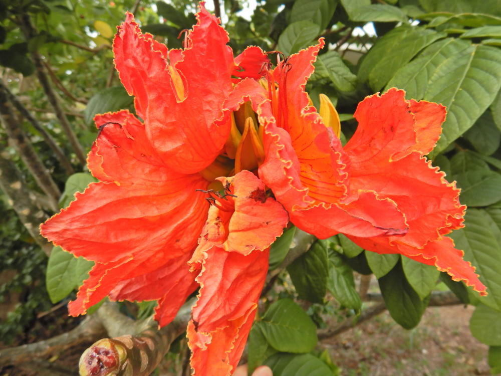 DSCN72951.jpg