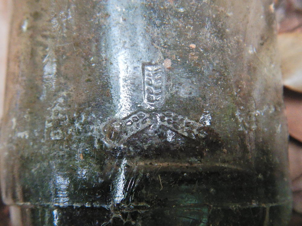 昔の瓶？途中経過の物 山中に残る「三ツ矢」の瓶 | 小笠原マルベリー