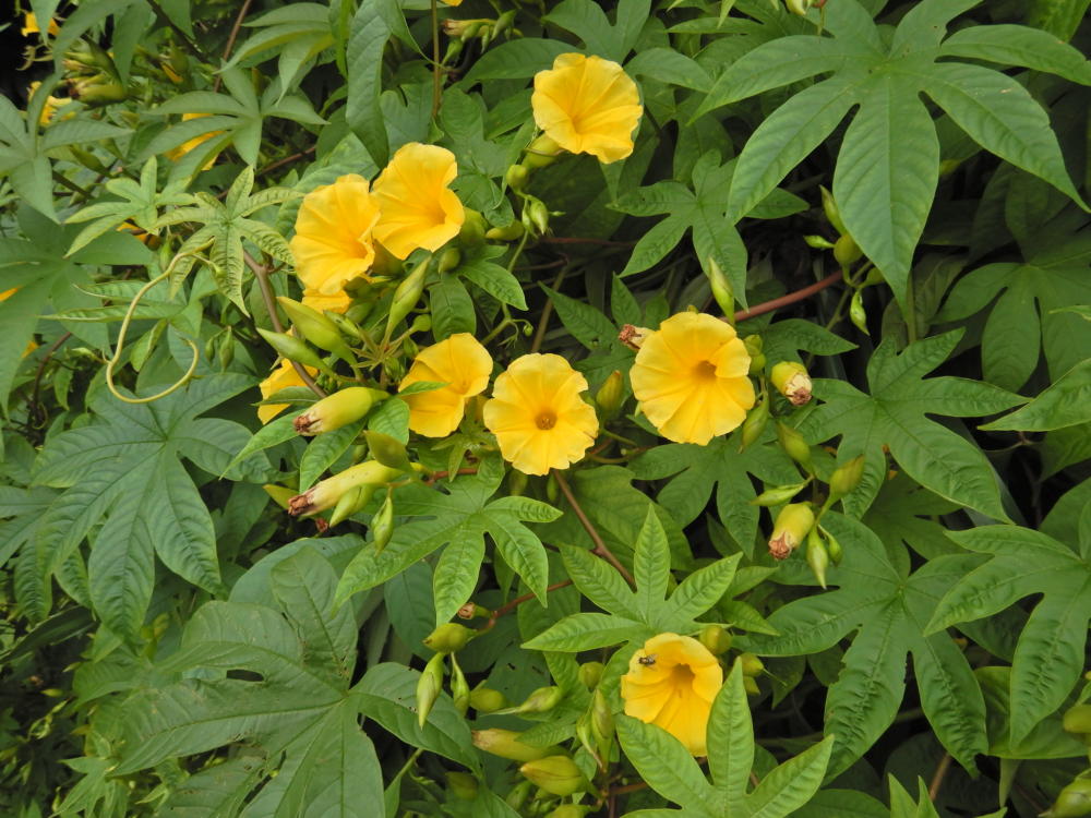 DSCN29701.jpg