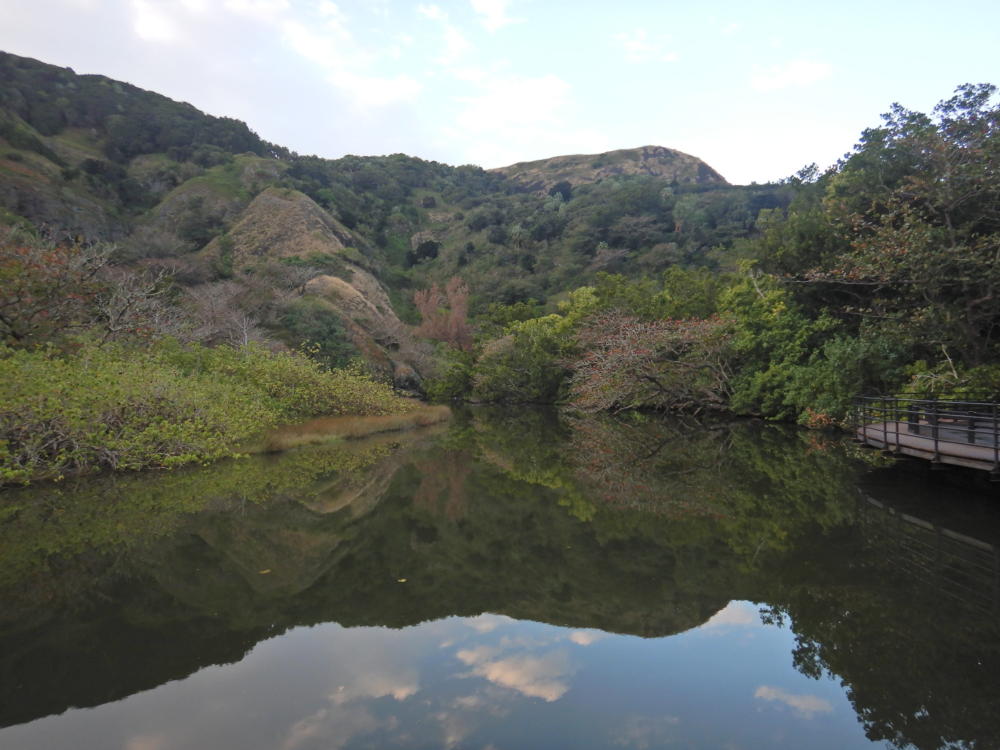 八ツ瀬川に広がるシンメトリーな風景 小笠原マルベリー