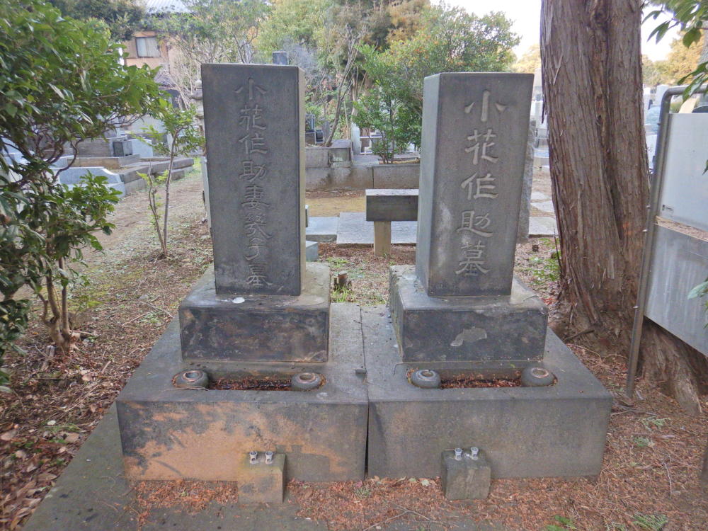 小花作助夫婦の墓（谷中霊園） | 小笠原マルベリー