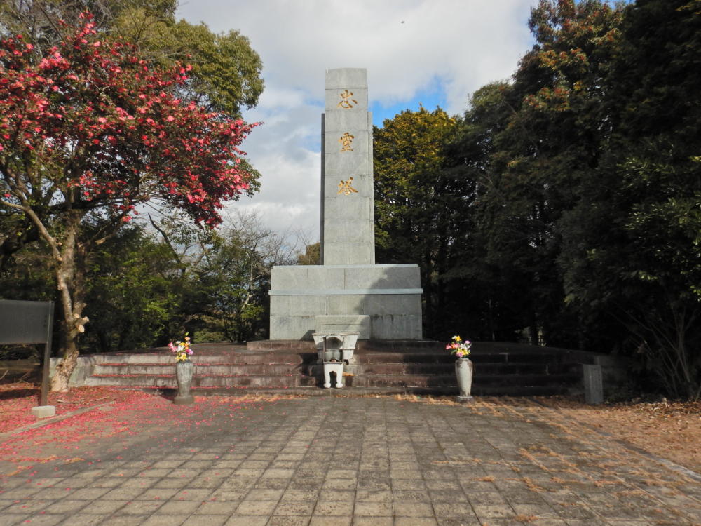 DSCN03231.jpg
